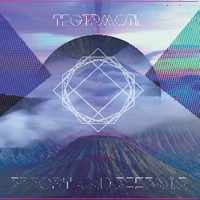 Tigermoth - Effort And Essence vinyl cover