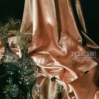 Tigers Jaw - I Won't Care How You Remember Me vinyl cover
