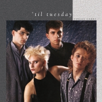 'til Tuesday - Voices Carry vinyl cover