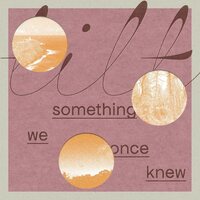 tilt - something we once knew vinyl cover
