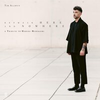 Tim Allhoff - Between Here and Nowhere vinyl cover