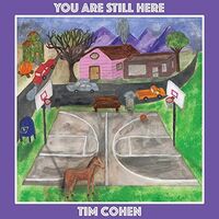 Tim Cohen - You Are Still Here vinyl cover
