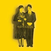 Tim Easton - Not Cool vinyl cover