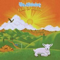 Tim Heidecker - Fear Of Death vinyl cover