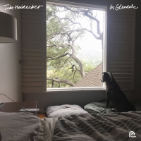 Tim Heidecker - In Glendale vinyl cover