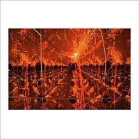Tim Kinsella - Firecracker In A Box Of Mirrors vinyl cover