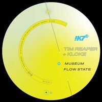 Tim & Kloke Reaper - Museum/Flow State vinyl cover