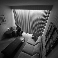 Timber Timbre - Lovage vinyl cover