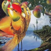 Timelash - A Morphology Of Wonders vinyl cover