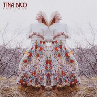 Tina Dico - Fastland vinyl cover