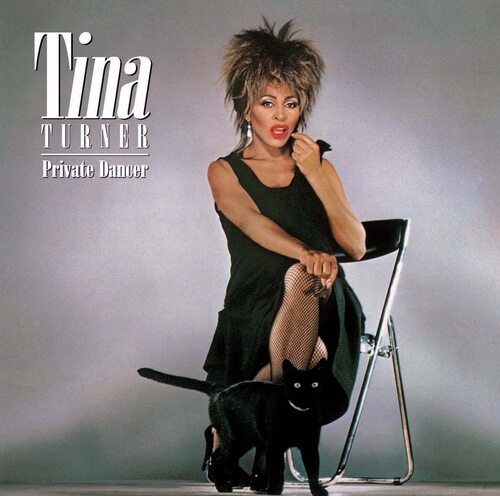 Tina Turner - Private Dancer vinyl cover