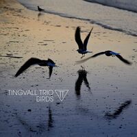 Tingvall Trio - Birds vinyl cover