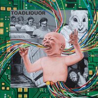 Toadliquor - Back In The Hole vinyl cover