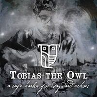 Tobias The Owl - A Safe Harbor For Wayward Echoes vinyl cover