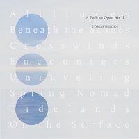 Tobias Wilden - A Path To Open Air II vinyl cover
