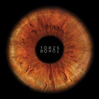 Törzs - Tükör vinyl cover