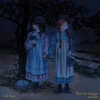 Told Slant - Point The Flashlight And Walk (Sea blue vinyl) vinyl cover