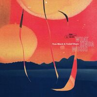 Tom Misch  &  Yussef Dayes - What Kinda Music vinyl cover