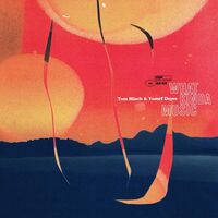 Tom Misch  &  Yussef Dayes - What Kinda Music vinyl cover