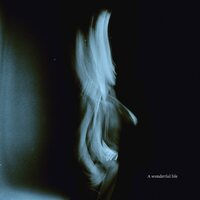 Tom Odell - A Wonderful Life vinyl cover