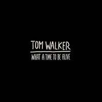 Tom Walker - What A Time To Be Alive vinyl cover