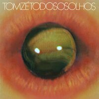 Tom Zé - Todos Os Olhos vinyl cover