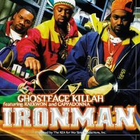 Tommy Peoples - Ironman vinyl cover