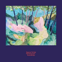 Tomorrow The Rain Will Fall Upwards - Wreck His Days vinyl cover
