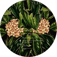 Tomppabeats - Summer Lover vinyl cover