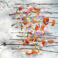 Tomutonttu - Kevatjuhla vinyl cover