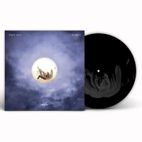 Tony Ann - Icarus vinyl cover