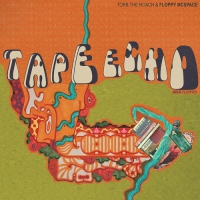 Torb The Roach & Floppy Mcspace - Tape Echo: Gold Floppies vinyl cover