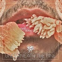 Toro Y Moi - Underneath The Pine vinyl cover