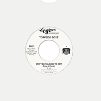 Torpedo Boyz - Are You Talking To Me vinyl cover