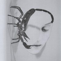 Tortoise - Touch vinyl cover