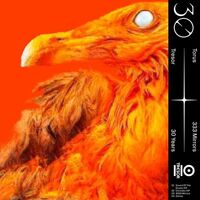 Torus - 333 Mirrors vinyl cover