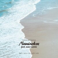 Toshiki Hayashi - Naminokoe feat. maco marets vinyl cover