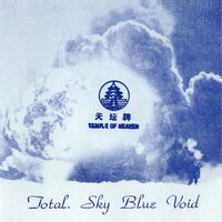 Total - Sky Blue Void vinyl cover