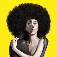 Toumani Diabate - Lamomali vinyl cover