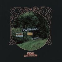 Trace Mountains - House Of Confusion (Pink) vinyl cover