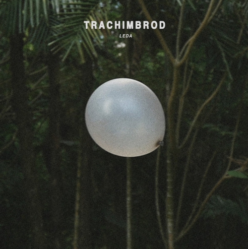 Trachimbrod - Leda Dl Card vinyl cover
