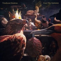 Trashcan Sinatras - Ever the Optimist vinyl cover