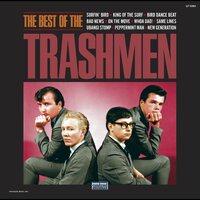 Trashmen - The Best Of The Trashmen vinyl cover