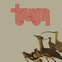 Traum - Traum vinyl cover