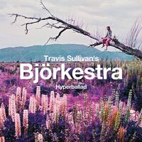 Travis Sullivan's Bjorkestra - Hyperballad / Venus As A Boy vinyl cover