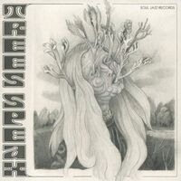 Trees Speak - Ohms vinyl cover