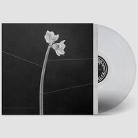 Trentemoller - Dreamweaver vinyl cover