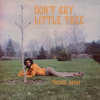 Trevor Dandy - Don't Cry Little Tree vinyl cover