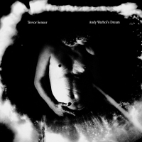 Trevor Sensor - Andy Warhol's Dream Metallic Silver vinyl cover