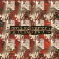 Tricky - Maxinquaye (Super Deluxe) vinyl cover